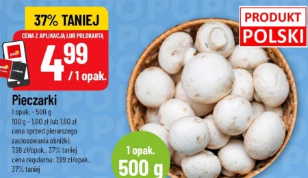 Гриби
