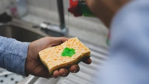 Myślisz, że zmywarka da radę? Bakterie będą się mnożyć na potęgę