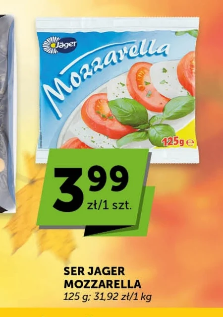 Моцарела Jager