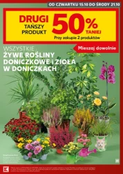 Mocny start - Kaufland