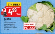 Цвітна капуста Polski