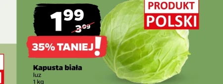 Білокачанна капуста Polski