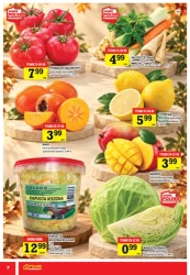 Jesienne zakupy za mniej - Gram Market