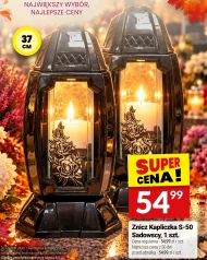 Znicz Sadowscy