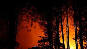 Pożar lasu w departamencie Landy na południu Francji. Szkody powodowane przez żywioł latem w całym kraju wyceniono na ponad pół miliarda euro