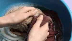 Zbierz w parku i wymocz w nich swetry. Wełna będzie mięciutka i świeża
