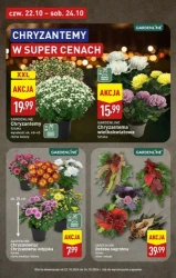 Twoje codzienne zakupy w supercenie - Aldi