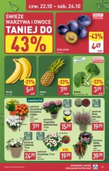 Twoje codzienne zakupy w supercenie - Aldi