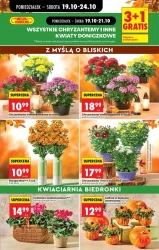 Najlepsze ceny na każdy dzień - Biedronka