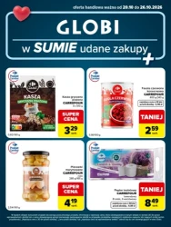Udane zakupy! - Globi