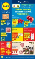 Codziennie świeży powód do zakupów - Lidl