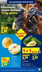 Codziennie świeży powód do zakupów - Lidl