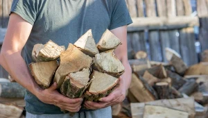 Dlaczego zimne drewno opałowe pali się gorzej? Unikaj tego błędu