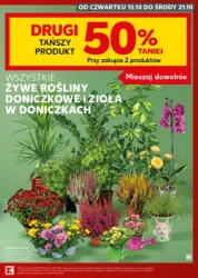 Hity cenowe od czwartku - Kaufland