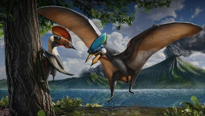 Sinopterus był pterozaurem żyjącym w Chinach. Zapewne zjadał rośliny