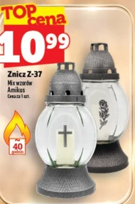 Znicz Amikus