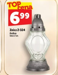 Znicz Amikus