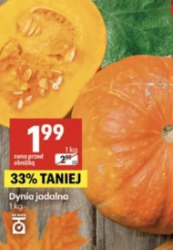 Dynia