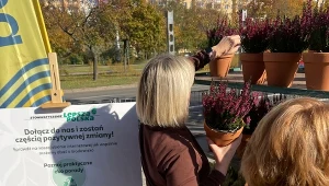 Jesienna zbiórka elektrośmieci i tekstyliów przed budynkiem Polsatu