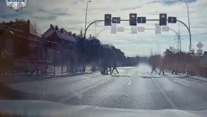 Kierowca się zagapił i zignorował czerwone światło. Mogło dojść do tragedii