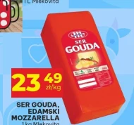 Ser Edamski