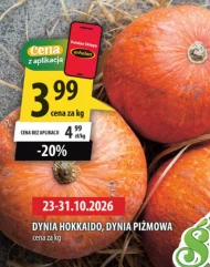 Dynia