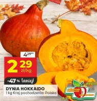 Dynia KK Polska