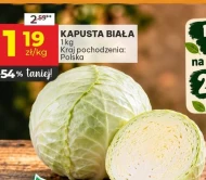 Kapusta biała