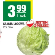 Sałata lodowa