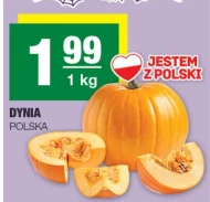 Dynia