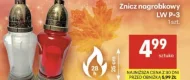 Znicz