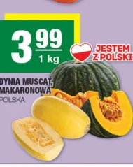 Dynia