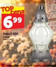 Znicz Amikus