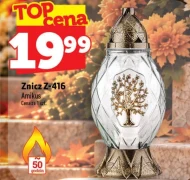Znicz Amikus