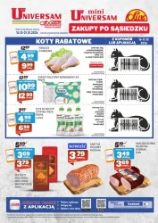 Koty rabatowe - WSS Praga Południe