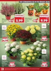 Tygodniowe hity cenowe - Kaufland