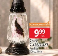Znicz Amikus