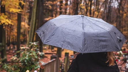 Szukasz grobu przed 1 listopada? Ta internetowa usługa ułatwi zadanie