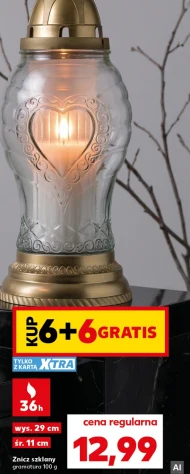 Znicz