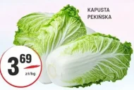 Kapusta