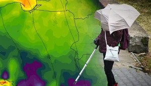 Ostrzeżenia przed silnym wiatrem w nocy z wtorku na środę obowiązują na południu Śląska, Małopolski i Podkarpacia