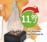Znicz