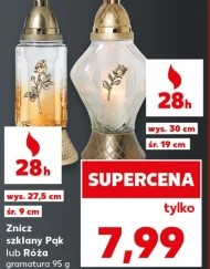 Znicz