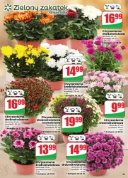 Domowe przysmaki w promocji - Dino