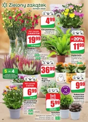 Domowe przysmaki w promocji - Dino