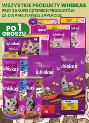 Domowe przysmaki w promocji - Dino