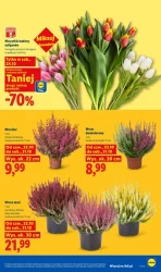 Ceny spadają na weekend - Lidl