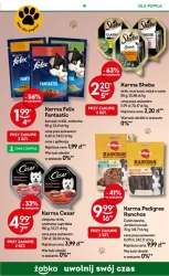 Weekendowe pizzobranie - Żabka