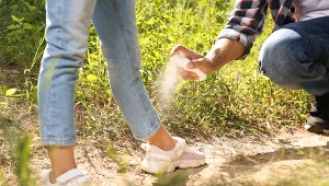 Sprzedawali przeterminowane specyfiki na kleszcze. GIS z ważnym komunikatem