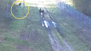 Turyści z Belgii ukarani przez Straż Graniczną